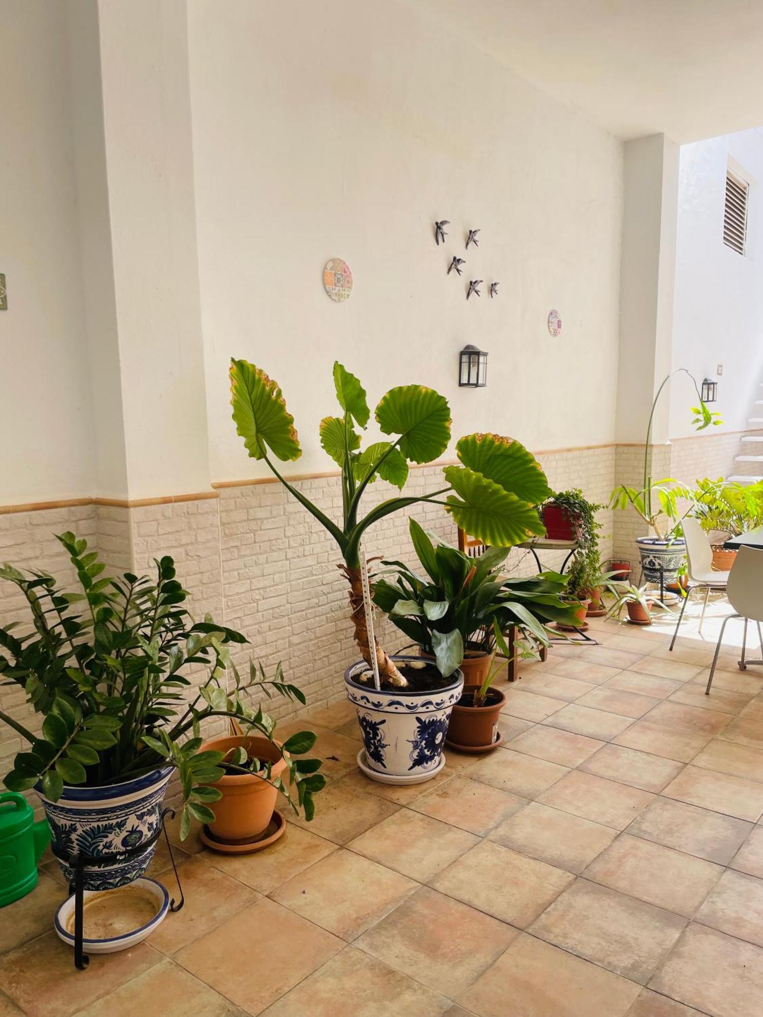 Patio De Los Barberos Valle de Abdalagís Extérieur photo